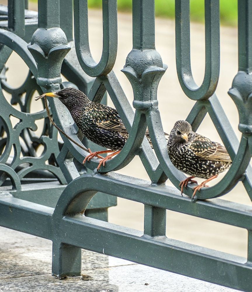 Photograph by Алексей Большаков