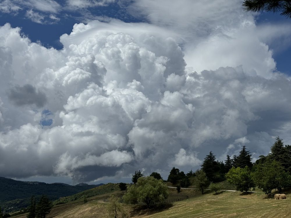 Photograph by Alexander Popov