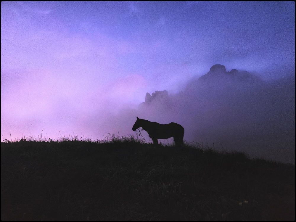 Фотография автора Васильева Дарья