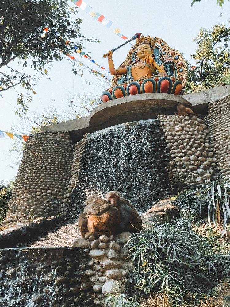 Photograph by Marina Zvada