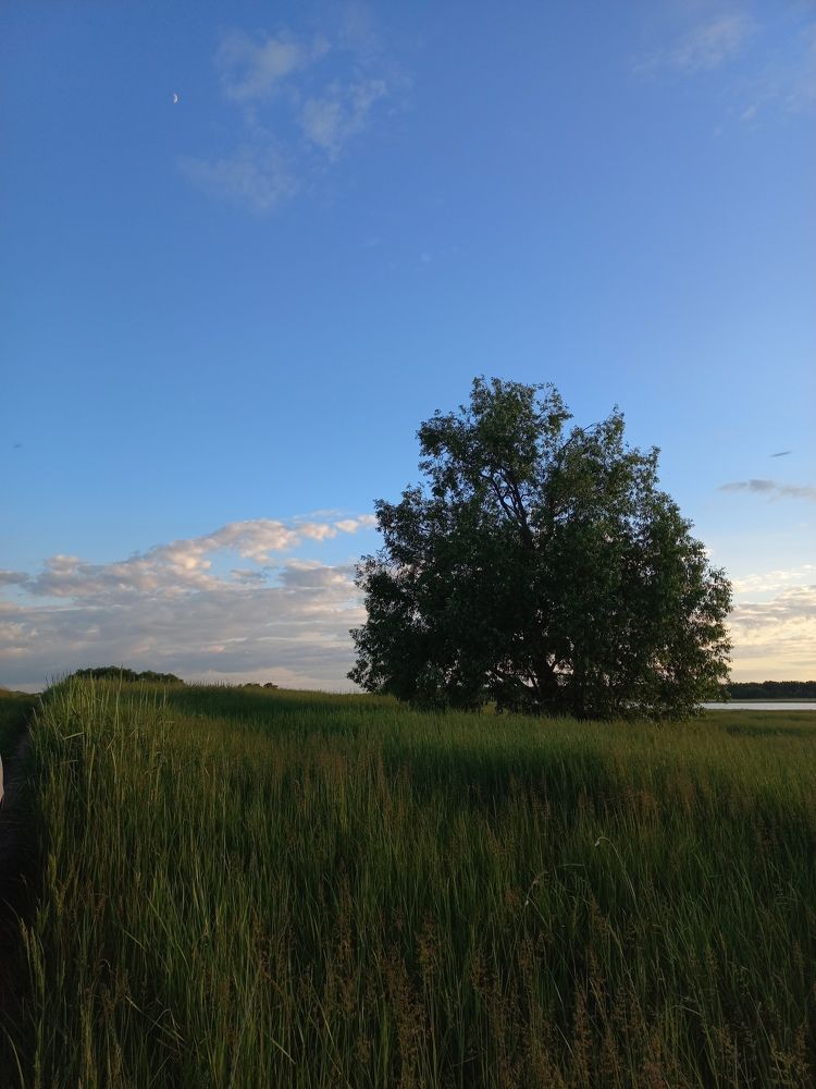 Фотография автора Наталья Иванова