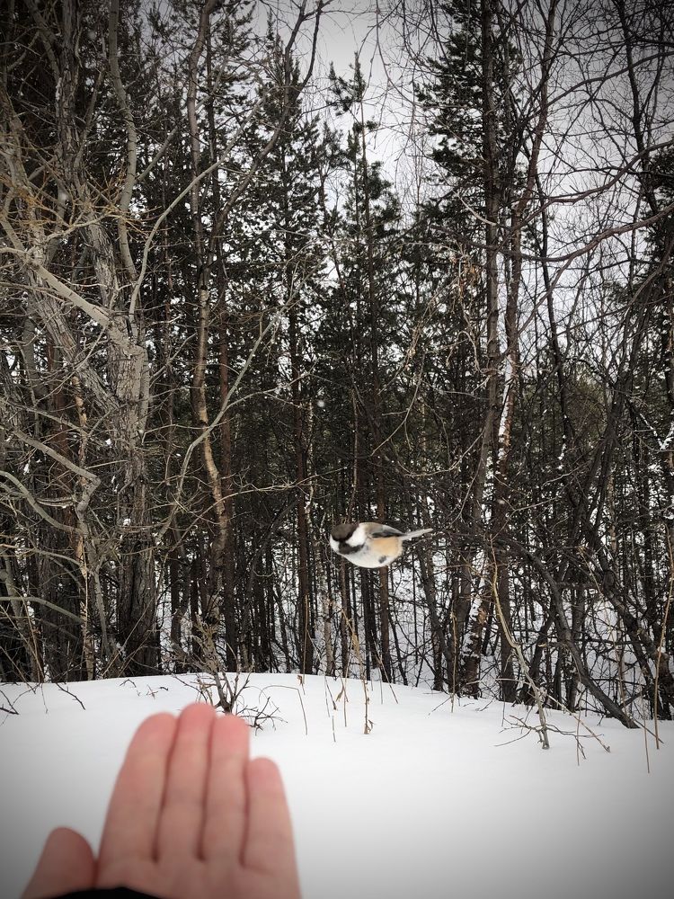 Фотография автора Светлана Терехова
