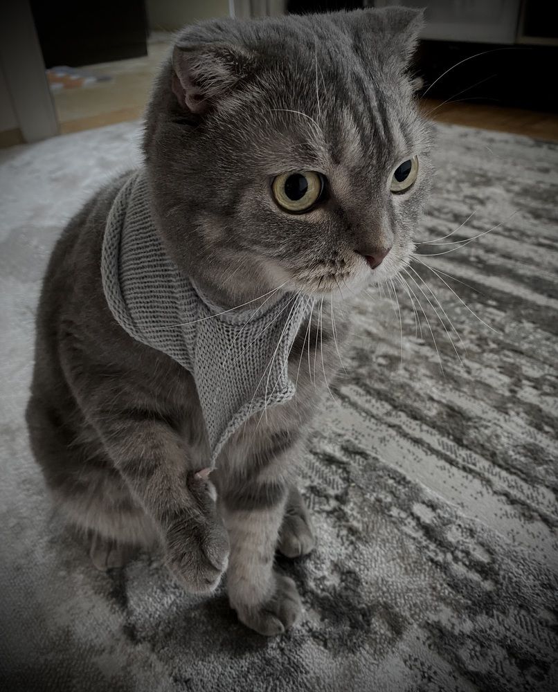 Photograph by Мария Халуторных