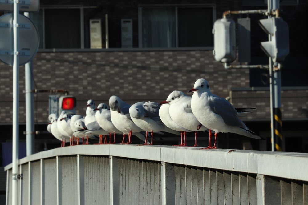 Photograph by Se Lena