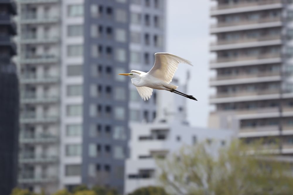 Photograph by Se Lena