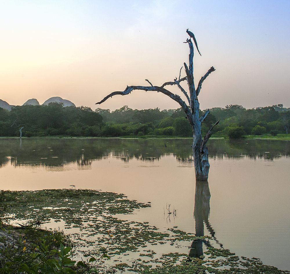 Photograph by Irina Grigoryeva