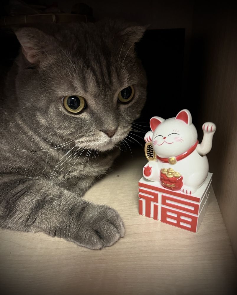 Photograph by Мария Халуторных