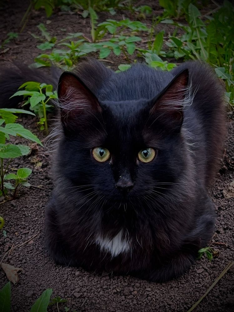 Photograph by Мария Халуторных