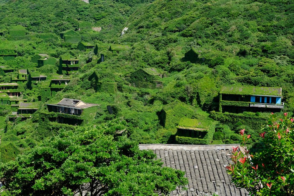 Фотография автора Александр Высоцкий