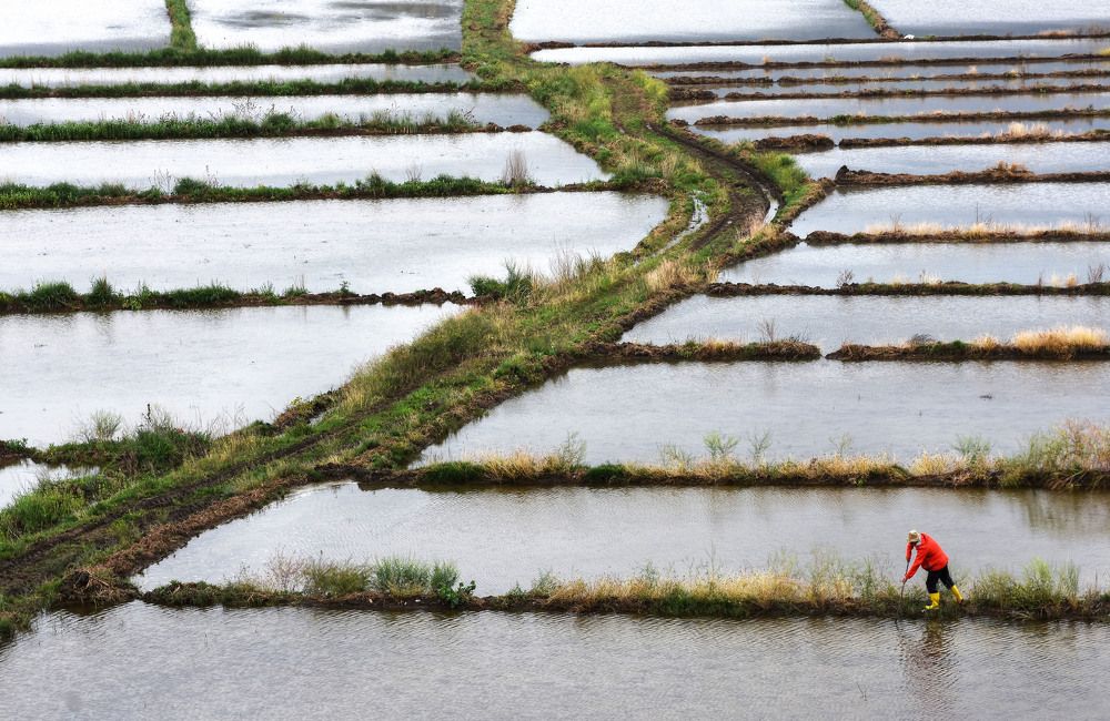 Фотография автора AYLIN EROZCAN