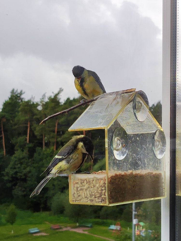 Photograph by Олеся Хижко