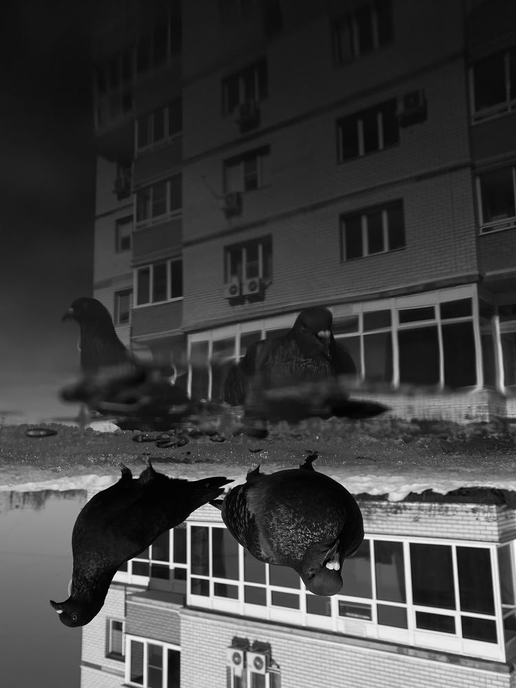 Фотография автора Ольга Лазаренко