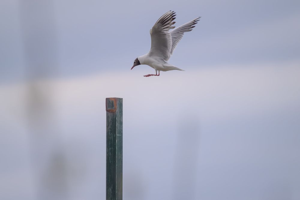Фотография автора Егор Кондратьев