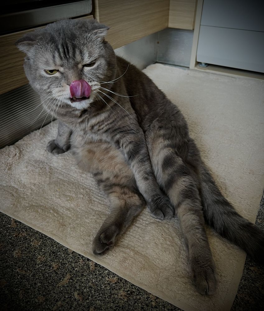 Photograph by Мария Халуторных