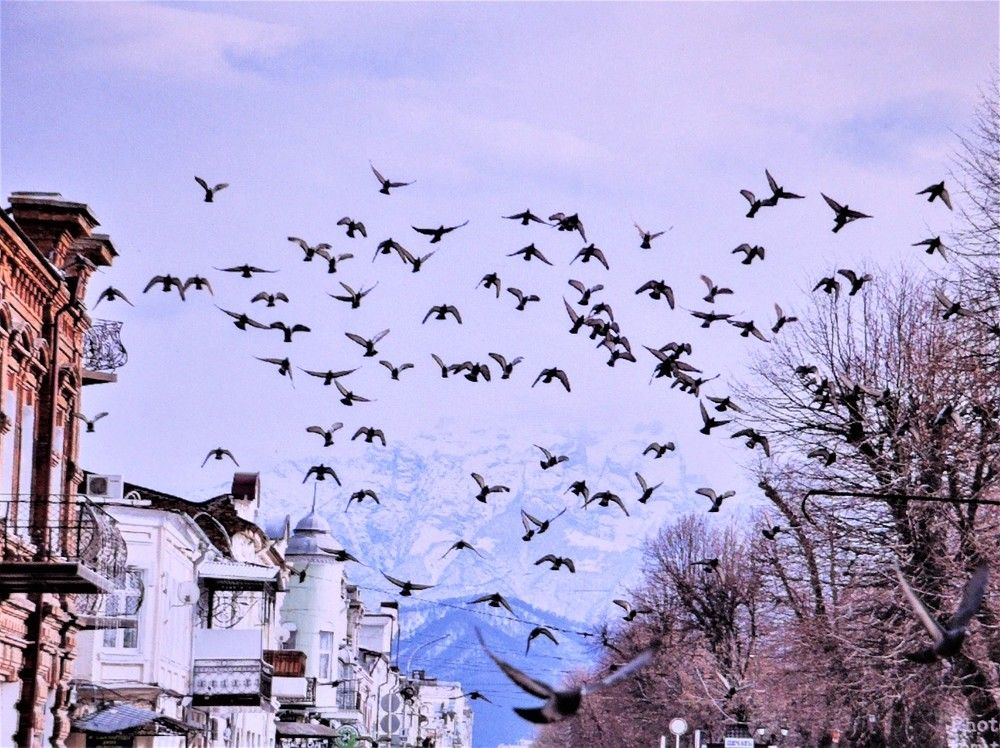 Photograph by Галина