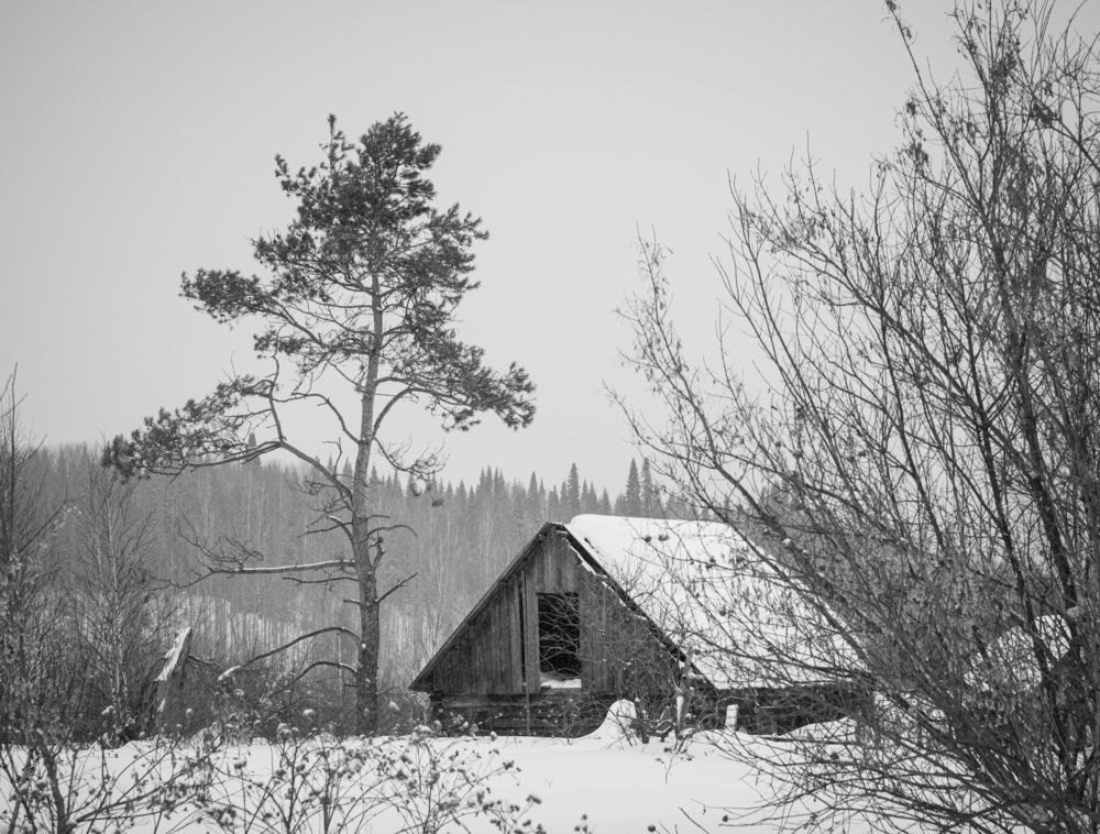 Фотография автора NIKOLAY KALININ