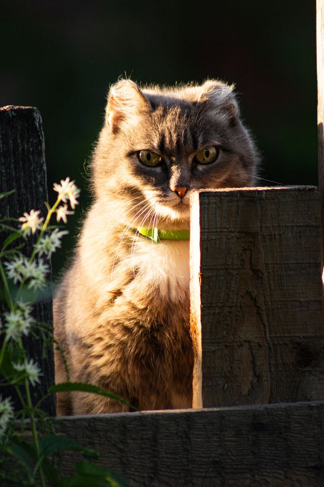 Photograph by Никита Викторович