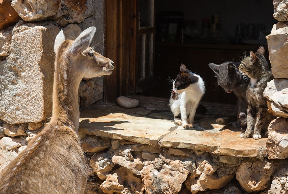 Photograph by Дария Максимова