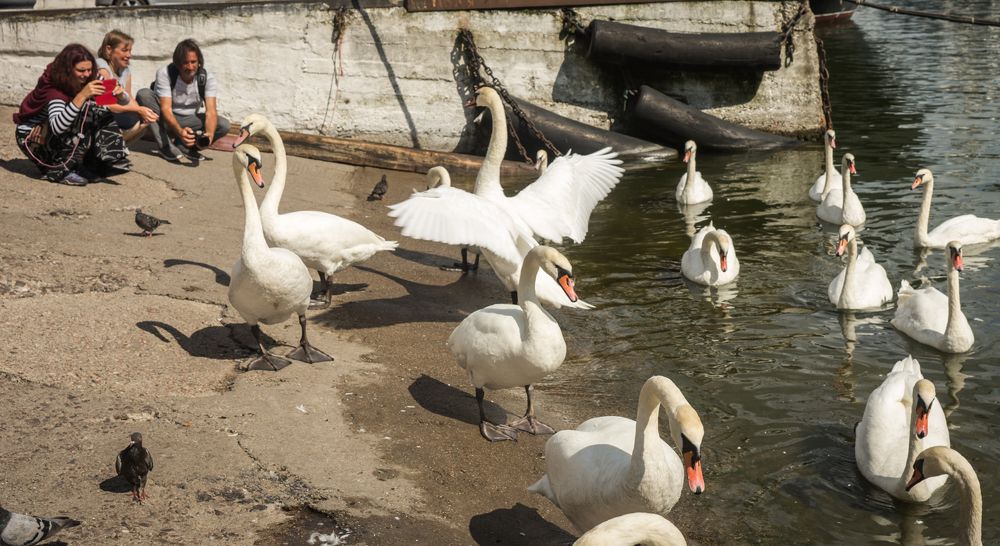 Photograph by Дария Максимова