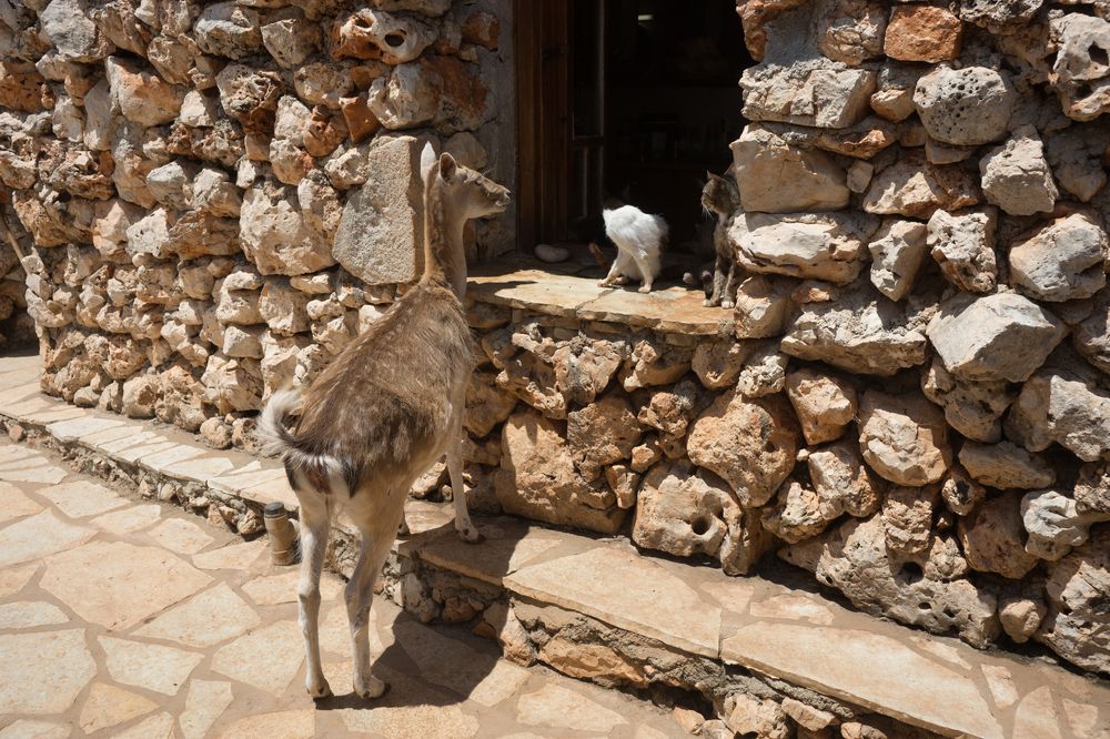 Photograph by Дария Максимова