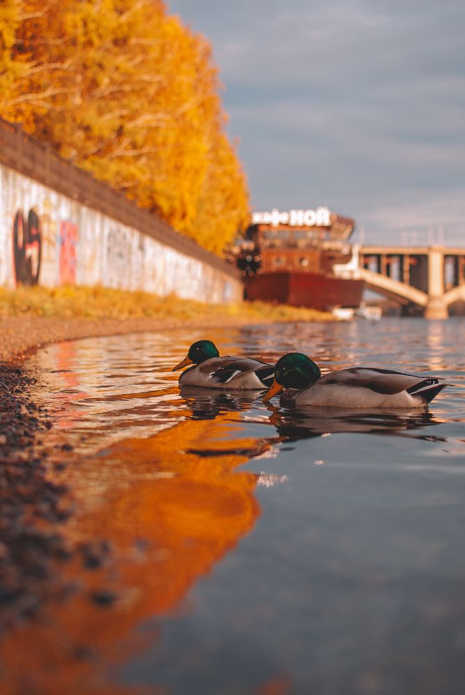 Photograph by Алик Мелконян