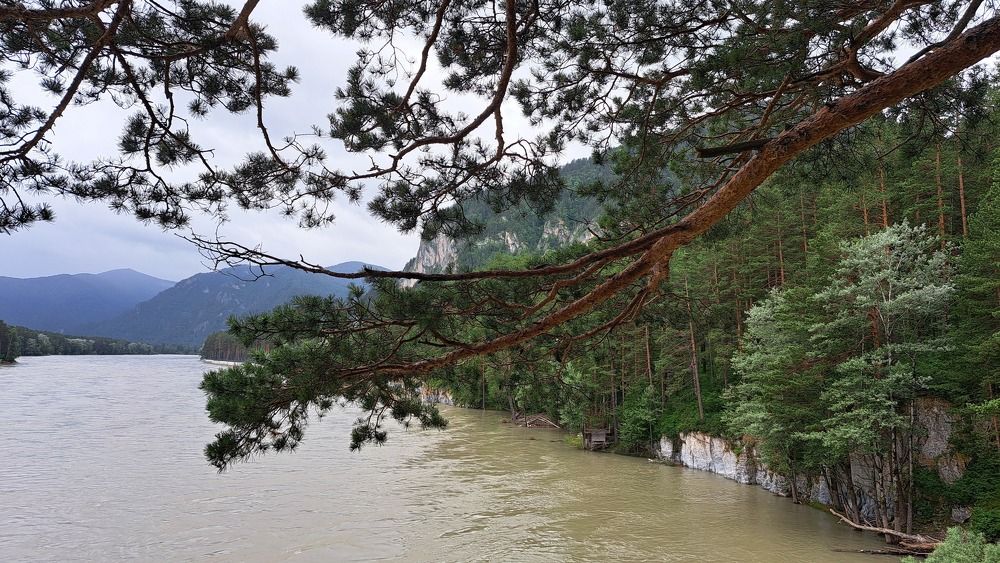 Photograph by Михаил Карнишин
