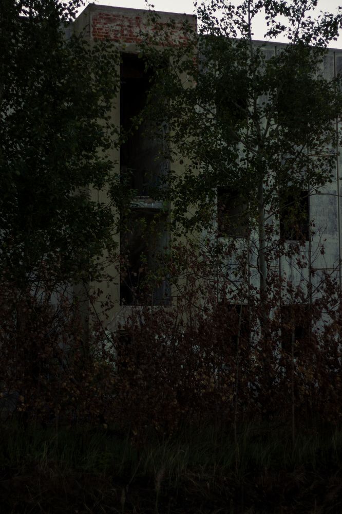 Фотография автора Софья Алексеева