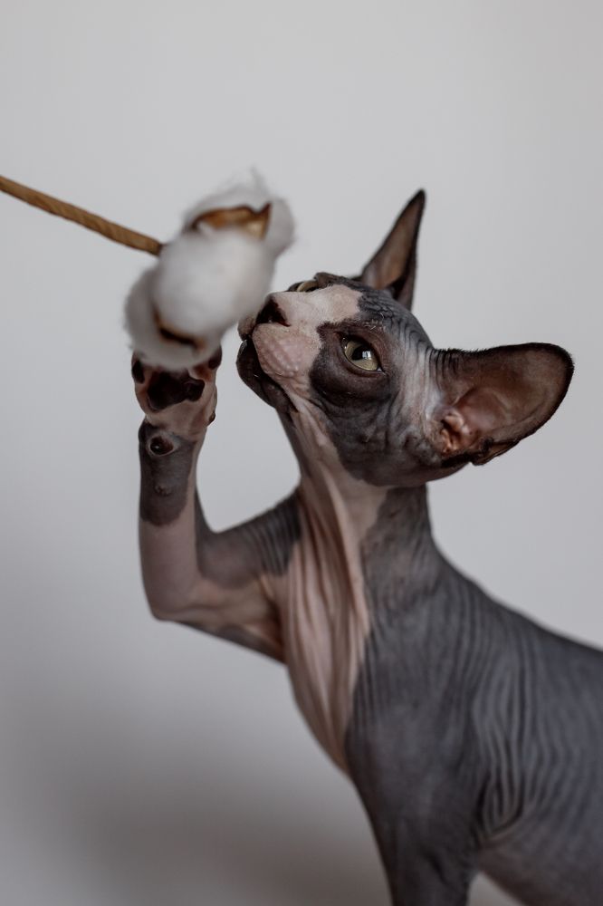 Photograph by Ольга Осинина