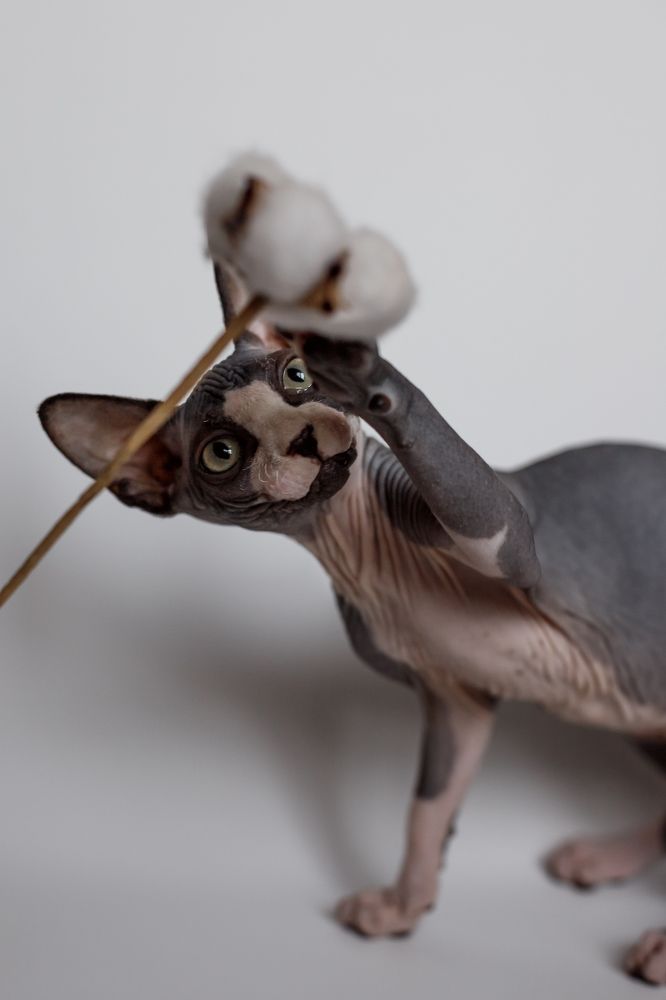 Photograph by Ольга Осинина