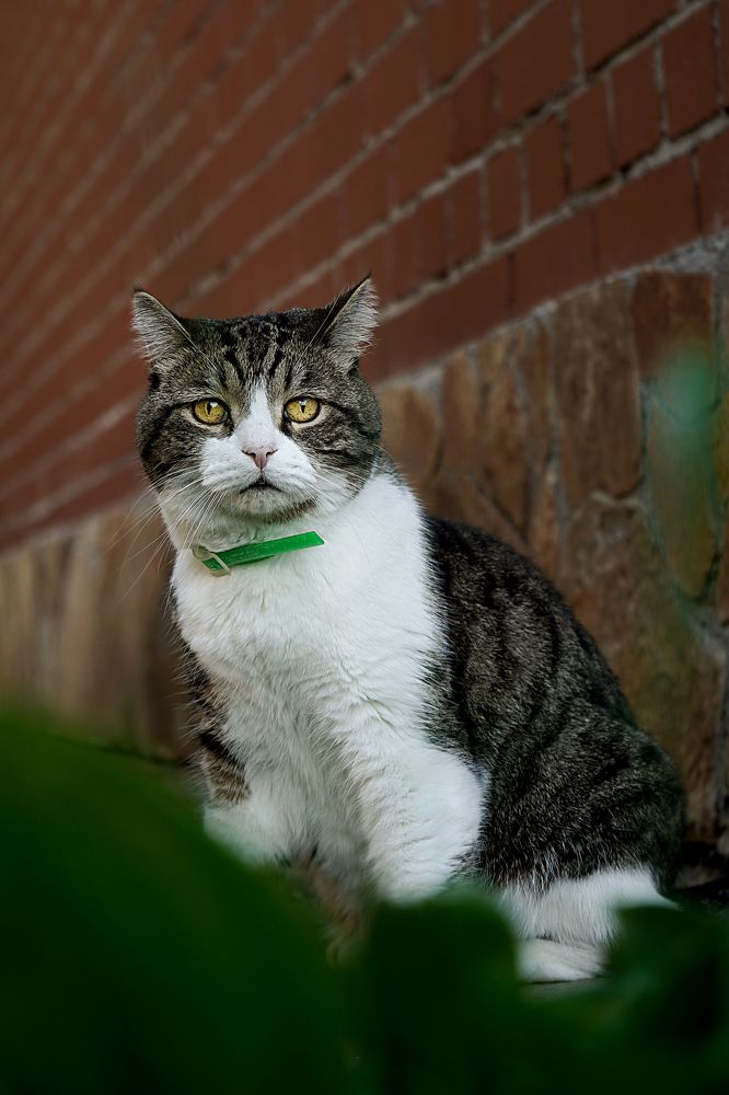 Photograph by Анна Марковская