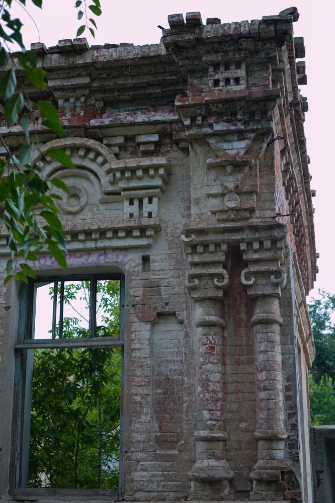 Photograph by Полина Галянина