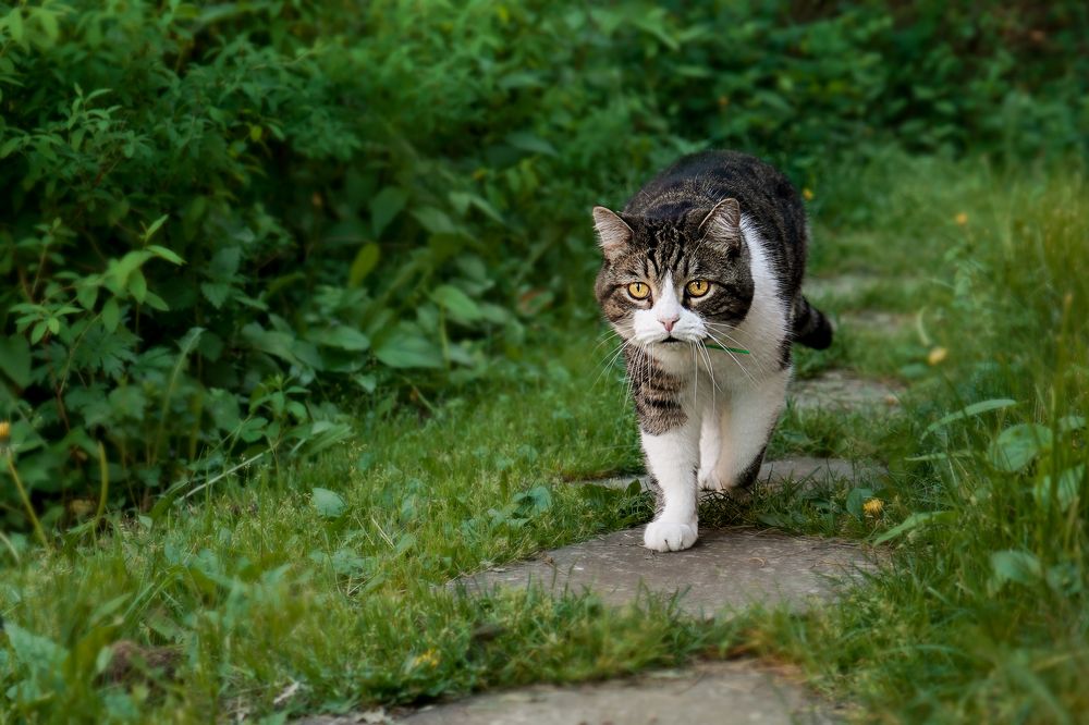 Photograph by Анна Марковская