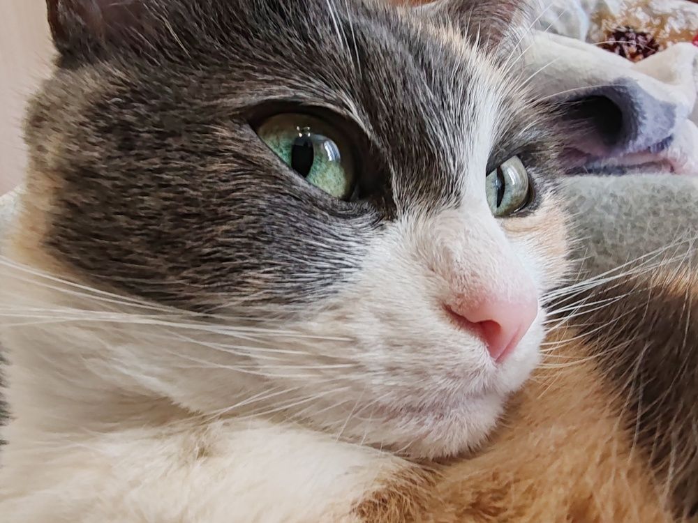 Photograph by Анна Лебедева