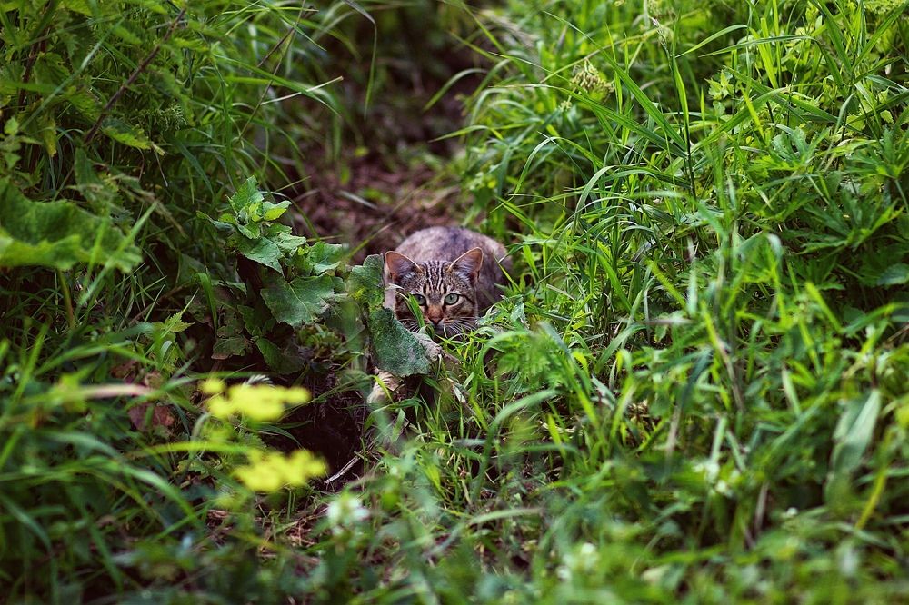 Photograph by Анна Лебедева