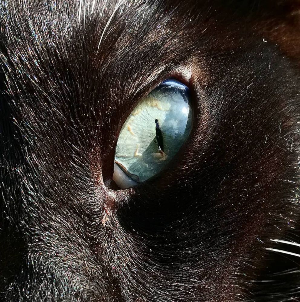 Photograph by Leonardo Abreu