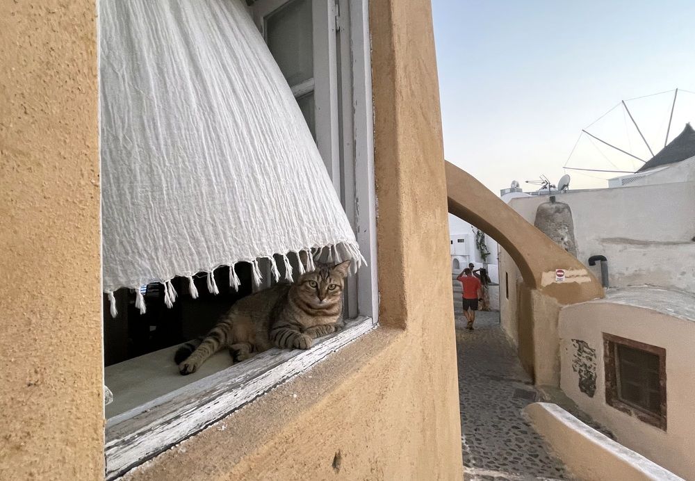 Фотография автора Ольга Лихтарь