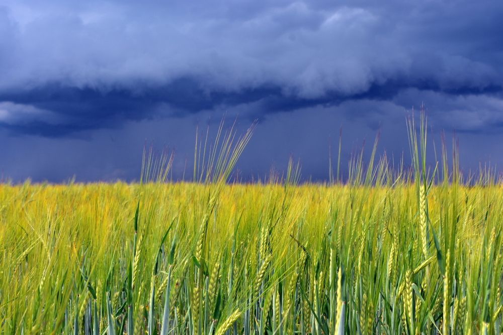 Фотография автора Alexander Solovyev