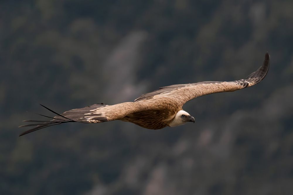 Photograph by Константин Абрамов