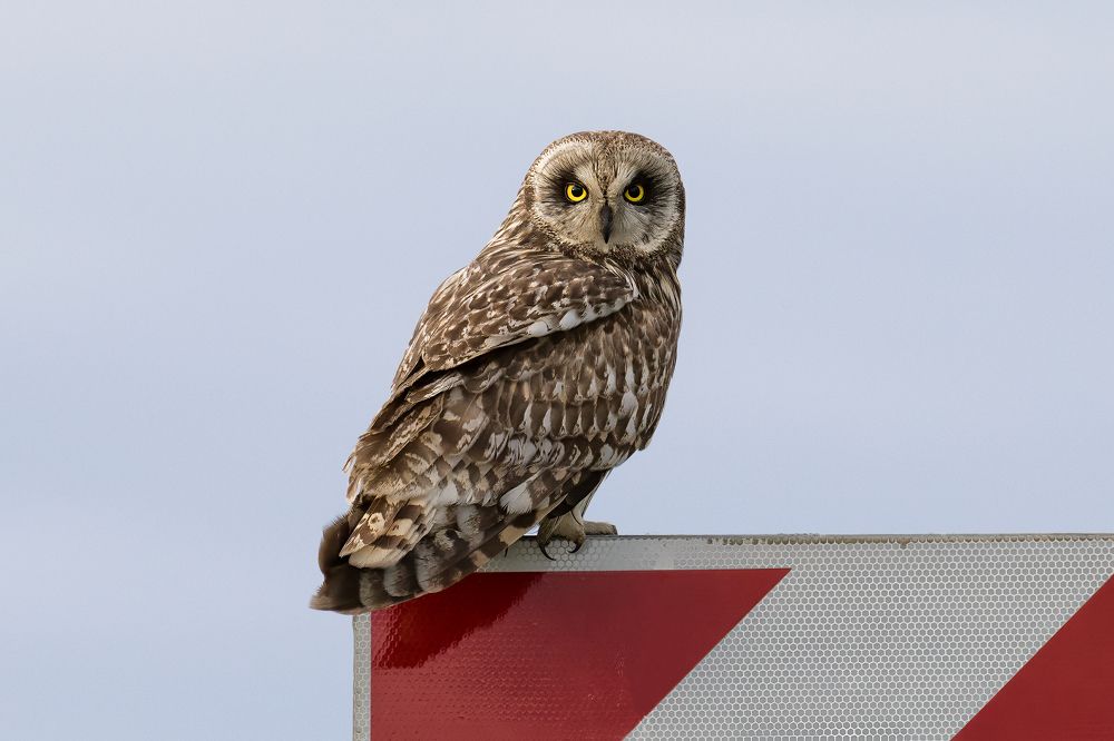 Photograph by Константин Абрамов