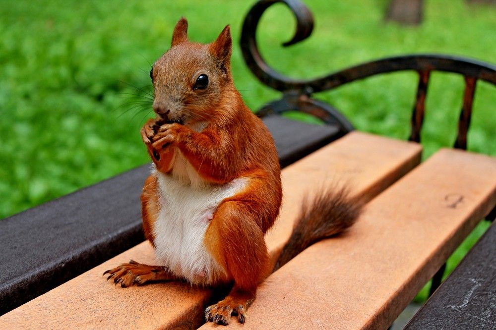 Photograph by Дмитрий Симагин