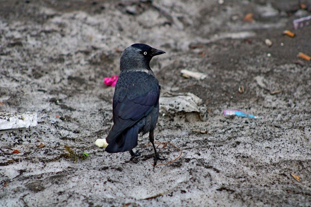 Photograph by Дмитрий Симагин