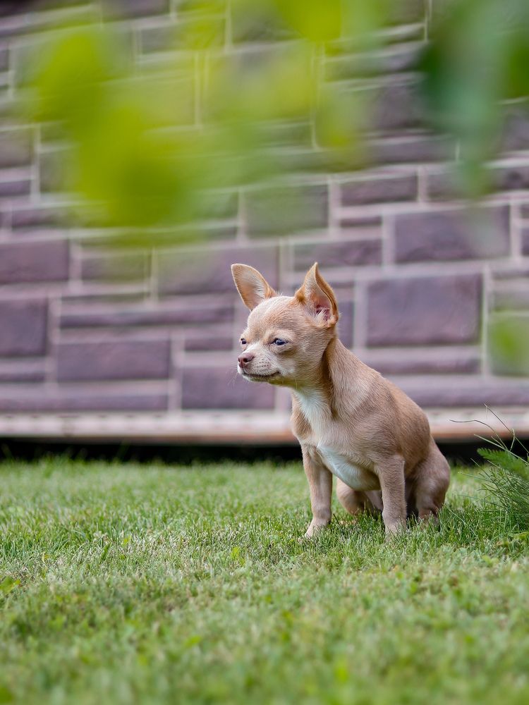 Photograph by Екатерина Слепнева