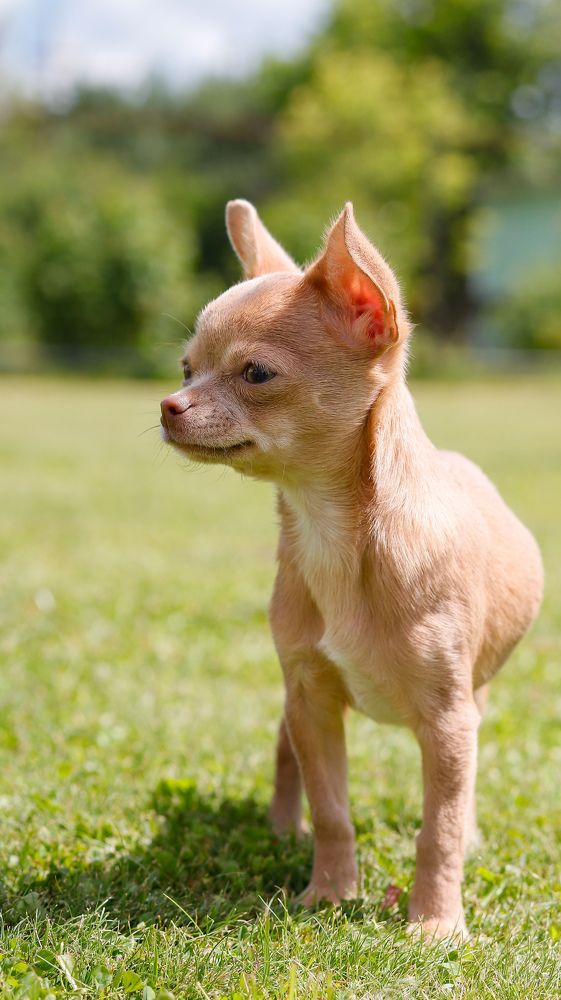 Photograph by Екатерина Слепнева