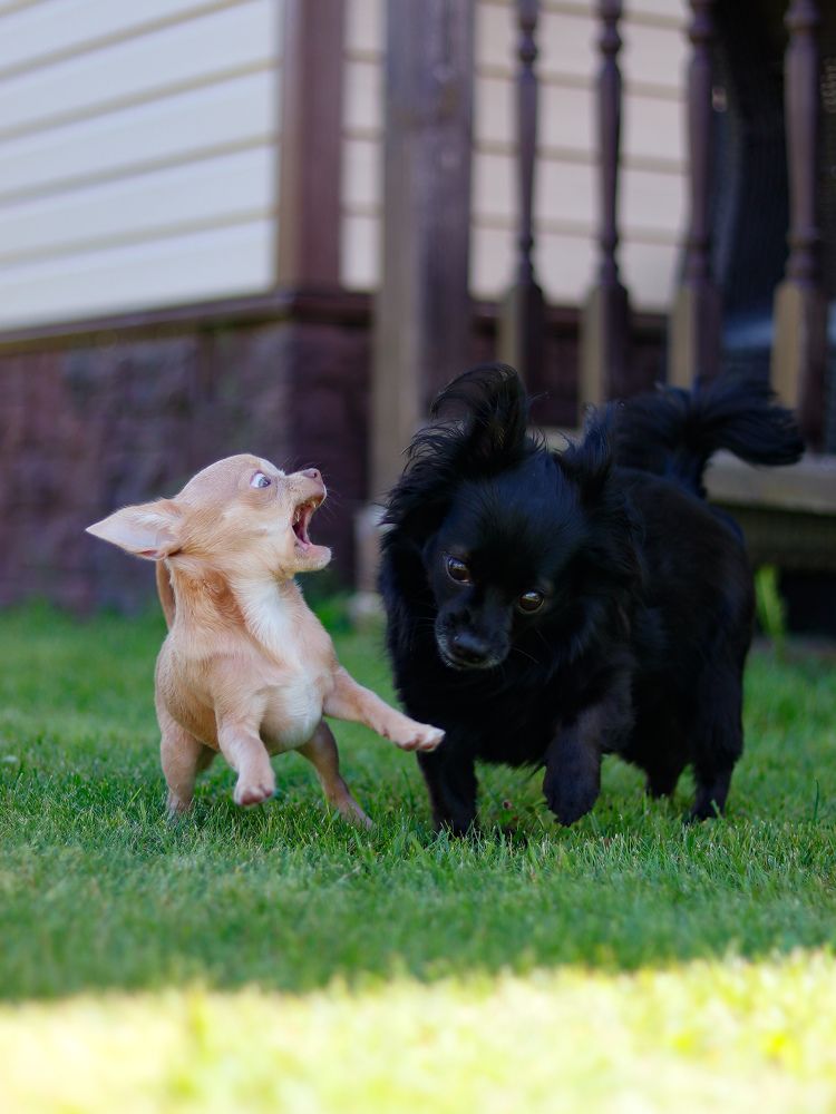 Photograph by Екатерина Слепнева