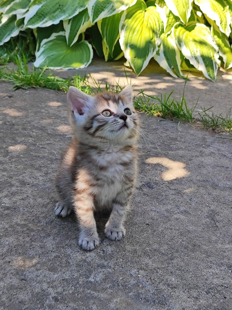 Photograph by Екатерина Борисовна Кузьмина