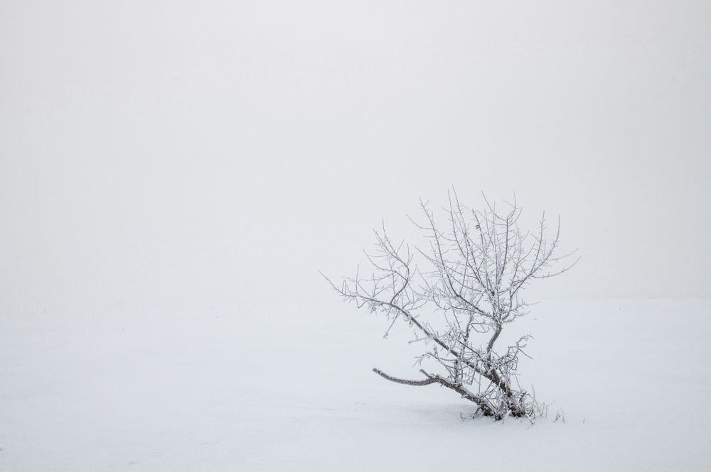 Photograph by Юрий Гау