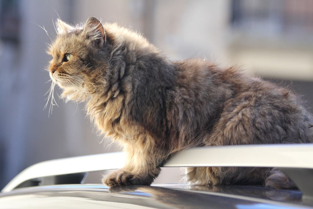 Photograph by Nadzeya