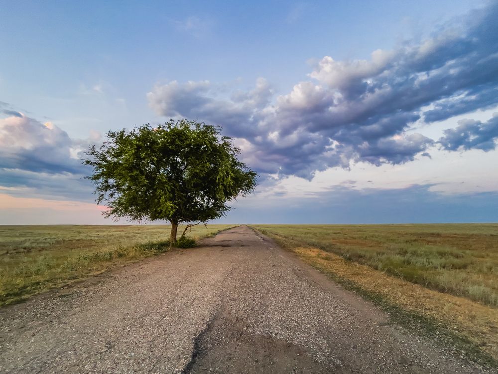 Photograph by Евгения Иваницкая