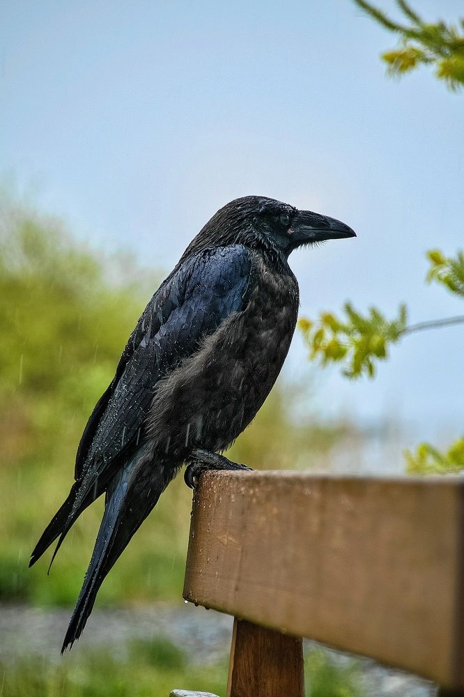 Photograph by Виктория Лобанова