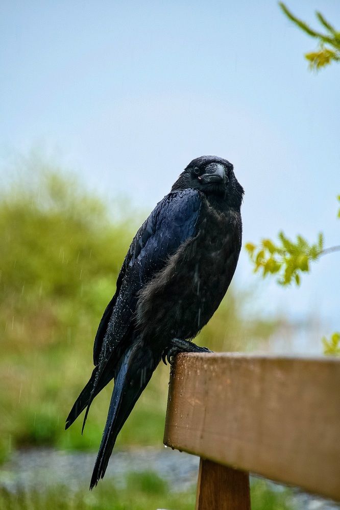 Photograph by Виктория Лобанова